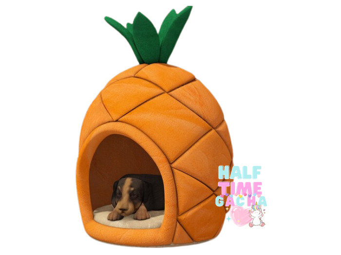 CHEZ MOI * Pineapple&Doggy