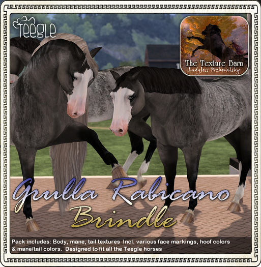 Texture Barn: Grulla Rabicano Brindle for Teegle Horses & Pets