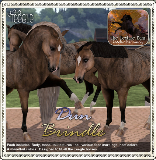 Texture Barn: Dun Rabicano Brindle for Teegle Horses & Pets