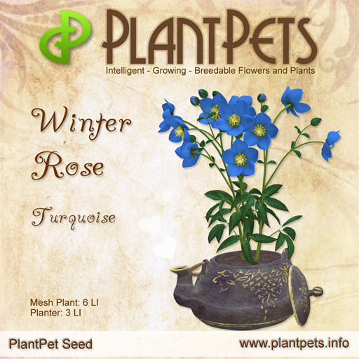 PlantPet Winter Rose *Turquoise*