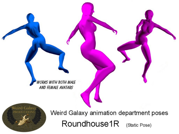 WG - Poses Box - Roundhouse1R