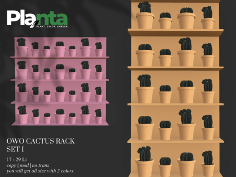 Second Life Marketplace - Planta - Owo Cactus Rack Set I