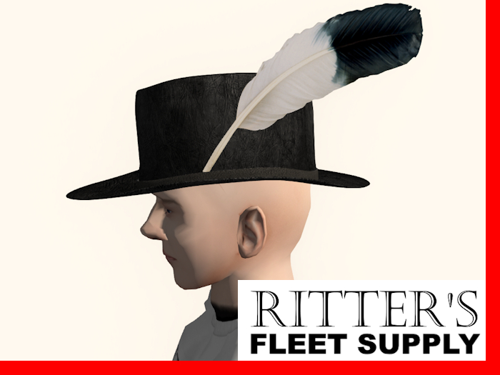 Brimmed hat 710 - black w/ feather