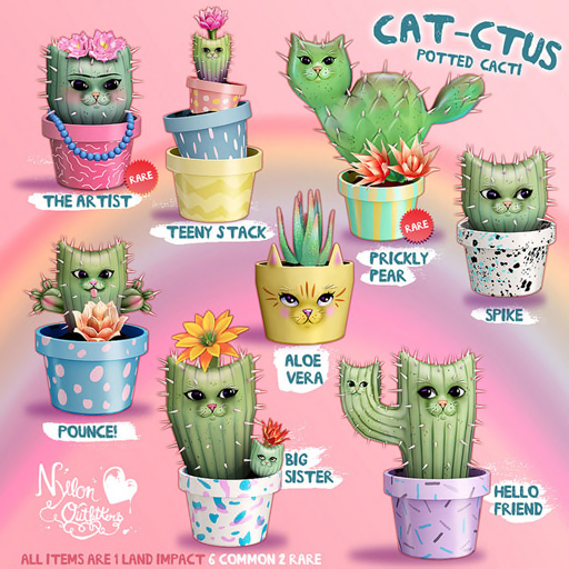 (NO) CATctus - FULL SET