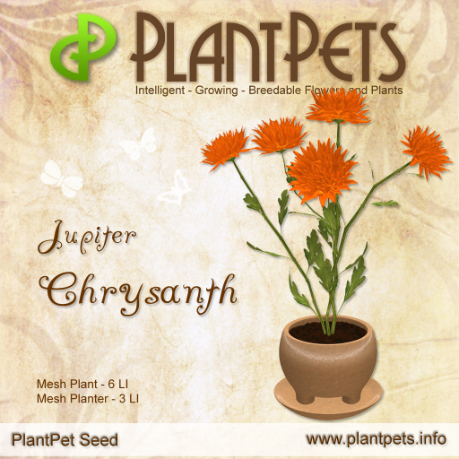 PlantPet Seed [Chrysanth *Jupiter*]