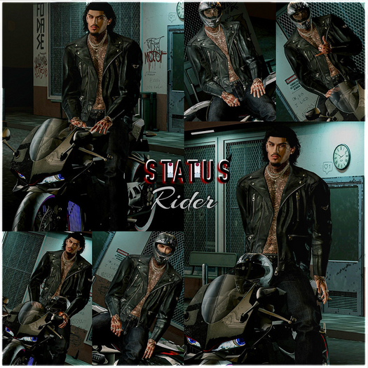 STATUS ~ Rider Posepack