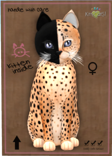 KittyCatS Box - Chimera - Spotted Flame