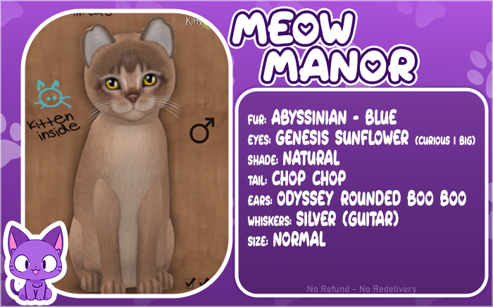 Meow Manor-Abyssinian - Blue