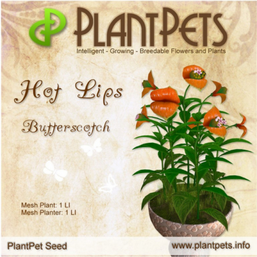 PlantPet Hot Lips *Butterscotch*