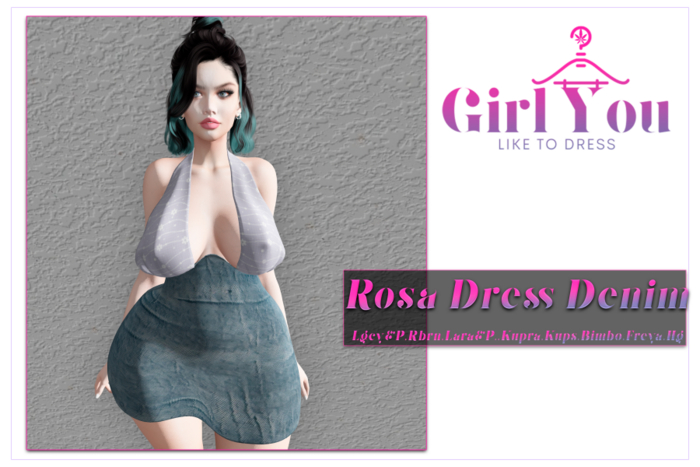 GYLTD - Rossa Dress Denim  DEMO 