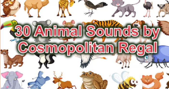 30 Animal Sounds by Cosmopolitan Regal*