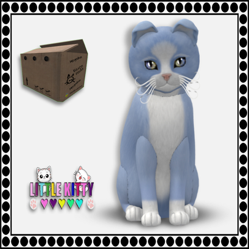 KittyCatS Box - 9T Chateau Cat - Powder Puff No. 1 F (MP)