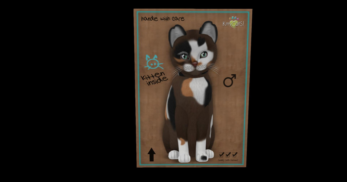 KittyCatS Box - New Born Kitten Genesis - Patch II