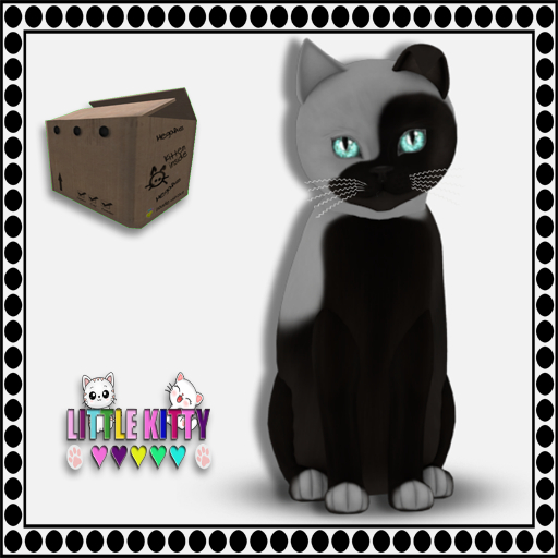 KittyCatS Box - 9T Chateau Cat - Cocoa & White No. 1 M (MP)