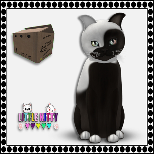 KittyCatS Box - 9T Chateau Cat - Cocoa & White No. 1 F (MP)