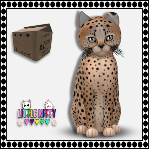 KittyCatS Box - 9T Cheetah! - Au Natural F (MP)