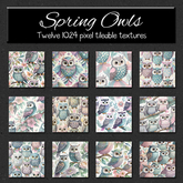 *Wallflowers* Spring Owls