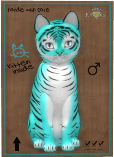 KittyCatS Box - Tiger! - Turquoise