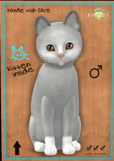 KittyCatS Box - KittyCatS - Genesis - Diamond III - MegaPuss