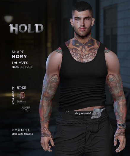 HOLD SHAPES - Nory - Shape LeLUTKA Yves 3.1 EVOX/LEG/JAK/KAR