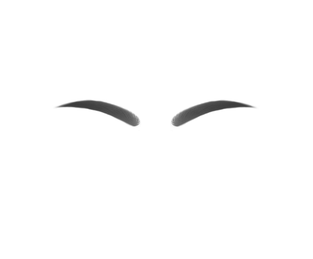 Barbs - Thick eyebrows - For evox , Full Perm