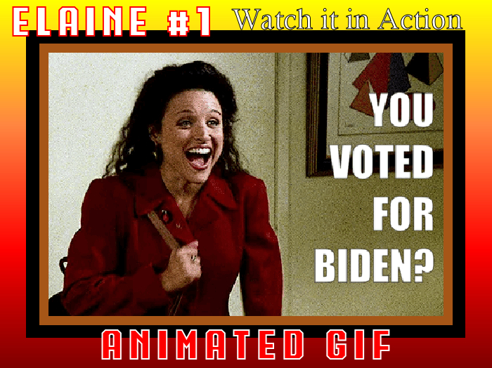 ☻~~ ELAINE: You Voted For Biden? ☻ ANIMATED GIF ☻ Click: View Video