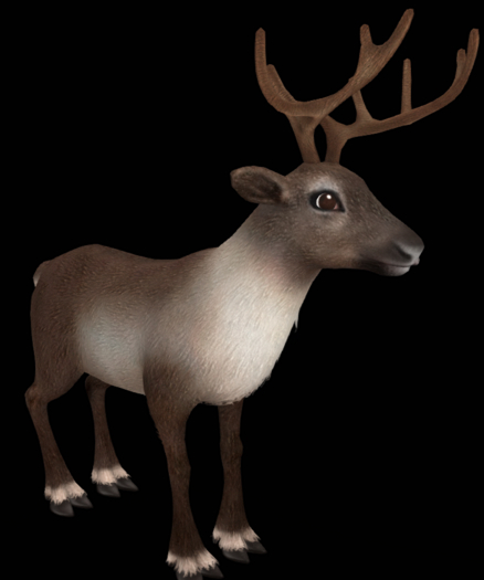 Mutresse-Companion-Funky Reindeers RARE