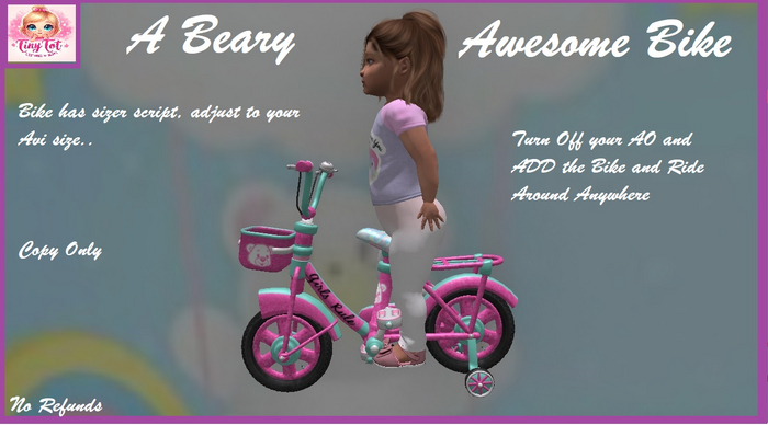 TTV A Beary Awesome Bike