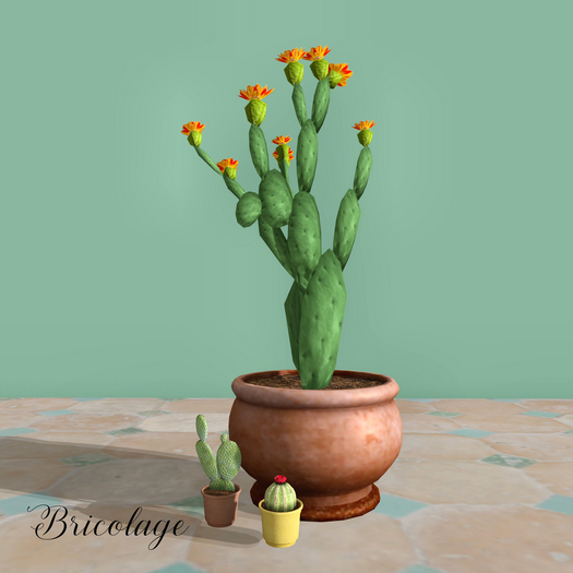 Bricolage Cactus Plants (3)