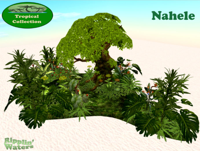 RW - Tropical Jungle Tree Patch *Nahele* c/m