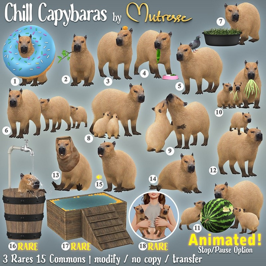 16. Mutresse-Chill Capybaras RARE