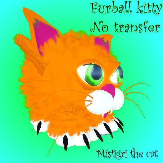 MISTIGRI furball orange cat