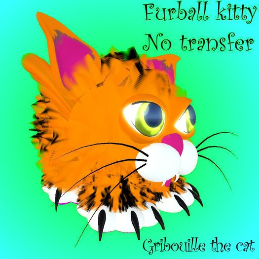 furball orange stripped cat