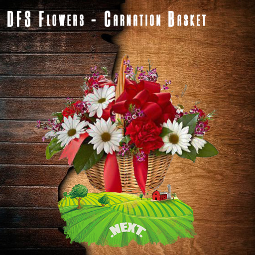 DFS Flowers - Carnation Basket