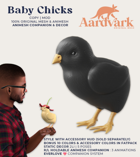 Aardvark : Baby Chick - Black  