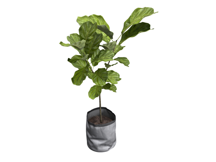 MINIMAL - Plant Collection Gacha #13