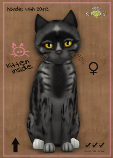 MEGAPUSS: KittyCatS Box - Genesis - Smokey V - MegaPuss