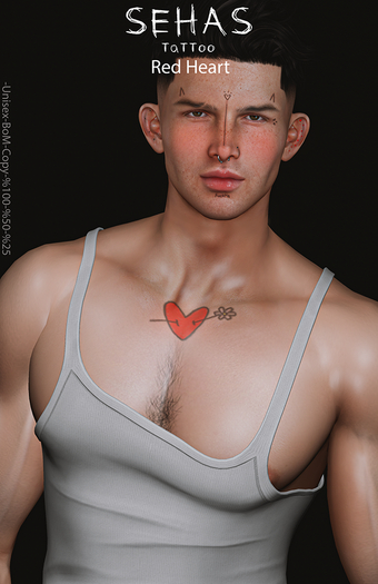 ::SEHAS::TaTToo Red Heart