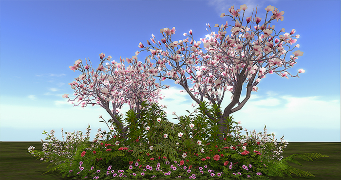 Jad Garden - Magnolia shrubs flower border pink-white