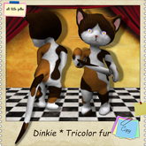 Dinkie tricolor fur ...