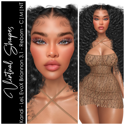 VIRTUAL SHAPES - Kandi Shape - Briannon 3.1