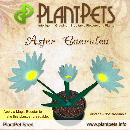 PlantPet Seed [Aster *Caerulea*]