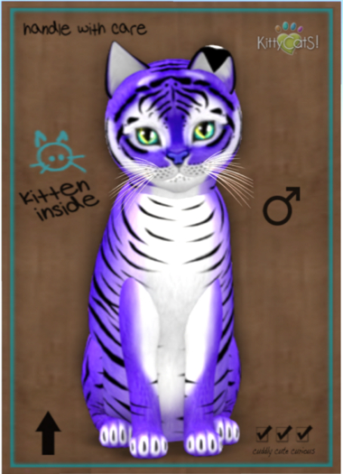 KittyCatS Box - Tiger! - Lavender