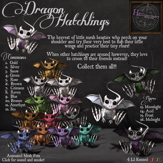 13.*HEXtraordinary* Dragon Hatchling - Boxed - Moonlight - Rare