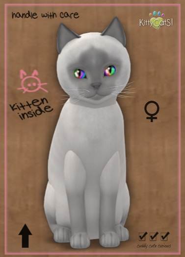 MEGAPUSS: KittyCatS Box - Siamese - Lilac - MegaPuss