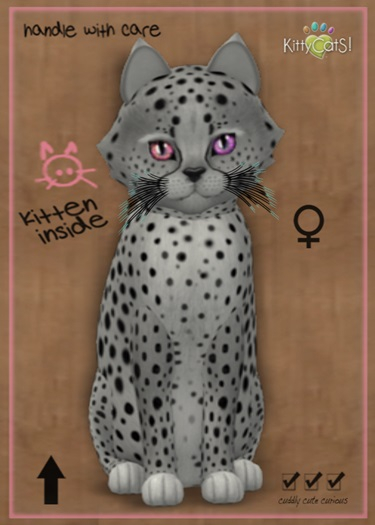 MEGAPUSS FLOOFY: KittyCatS Box - Cheetah! - Silver - MegaPuss Floofy