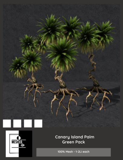 MeshedUp: Canary Island Palm Pack YellowGreen 
