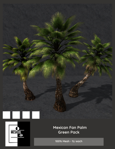MeshedUp: Mexican Fan Palm  - Green Pack  