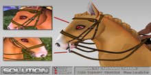 *Solution Design* West Bridle - Brown