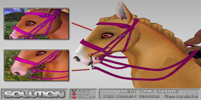 *Solution Design* West Bridle - Pink
